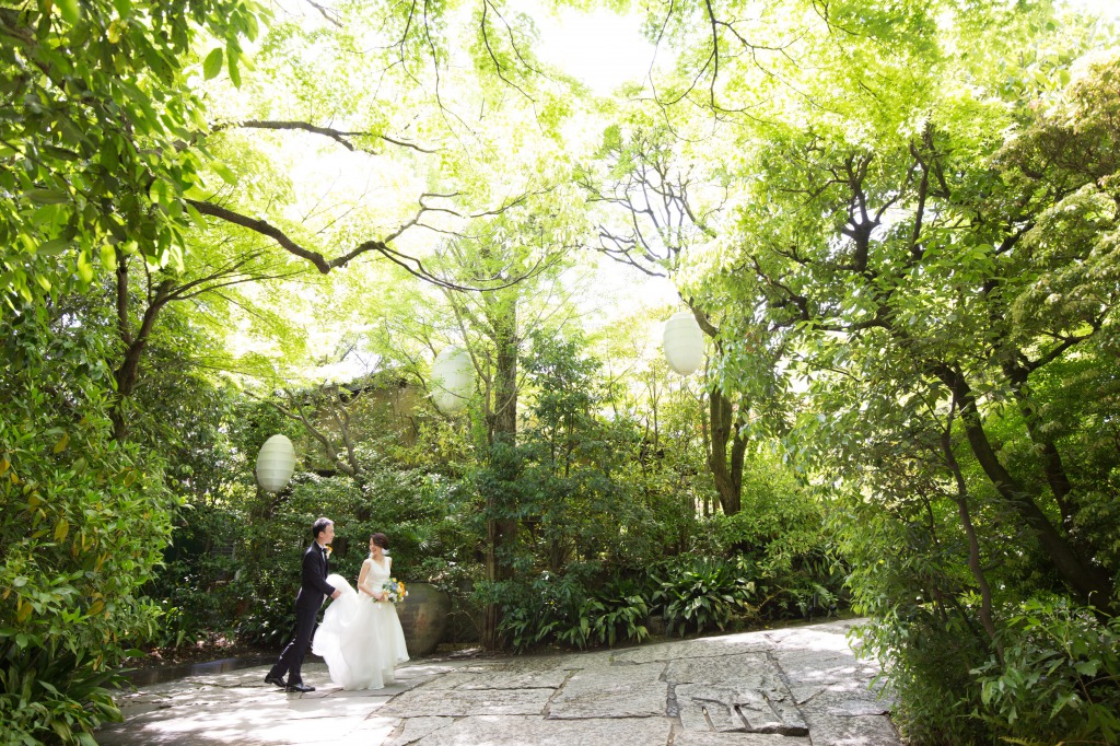 SODOH トリートドレッシング