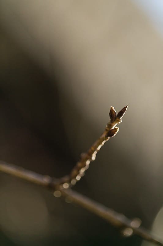 REEM ACRA(リーム・アクラ)のAラインをお召しになった花嫁様の披露宴の様子