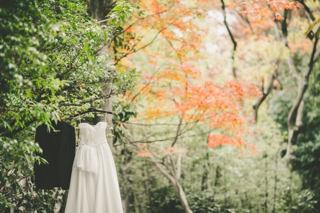 ザガーデンオリエンタル大阪紅葉