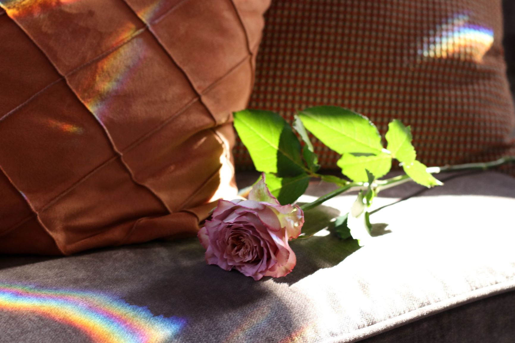 トリートドレッシングから提案する薔薇のブーケ