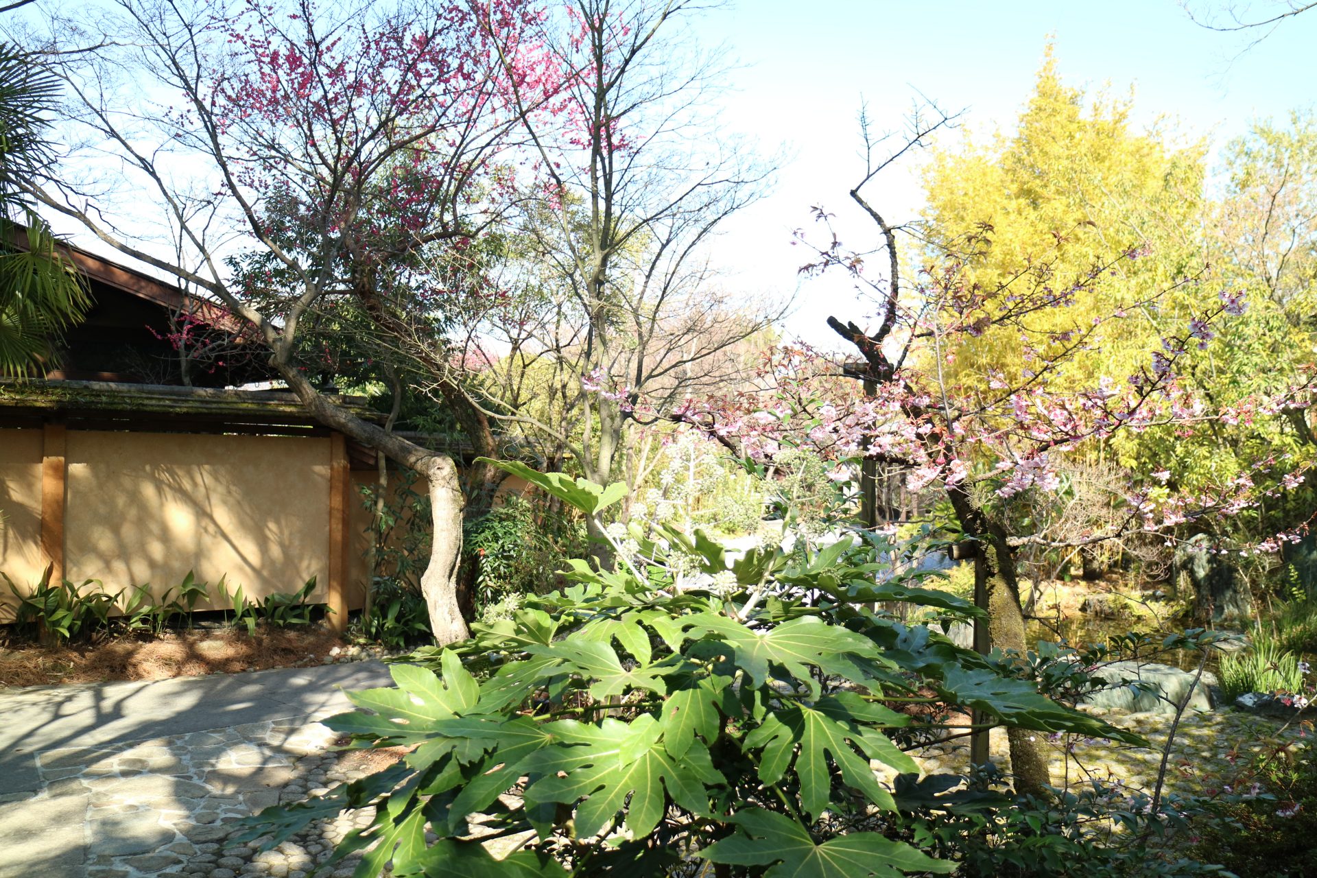 趣のある落ち着いた京都の結婚式会場THE SODOH HIGASHIYAMA KYOTO