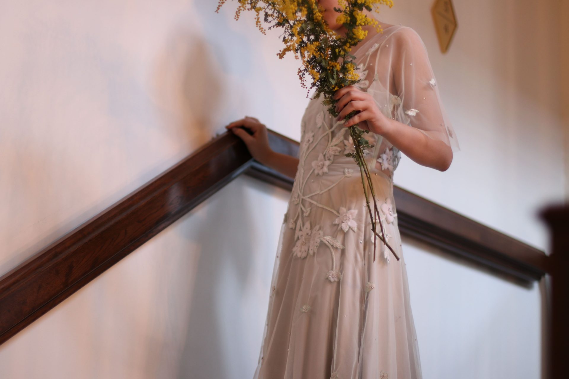 ザトリートドレッシングで人気のアレクサンドラグレッコのカラードレス