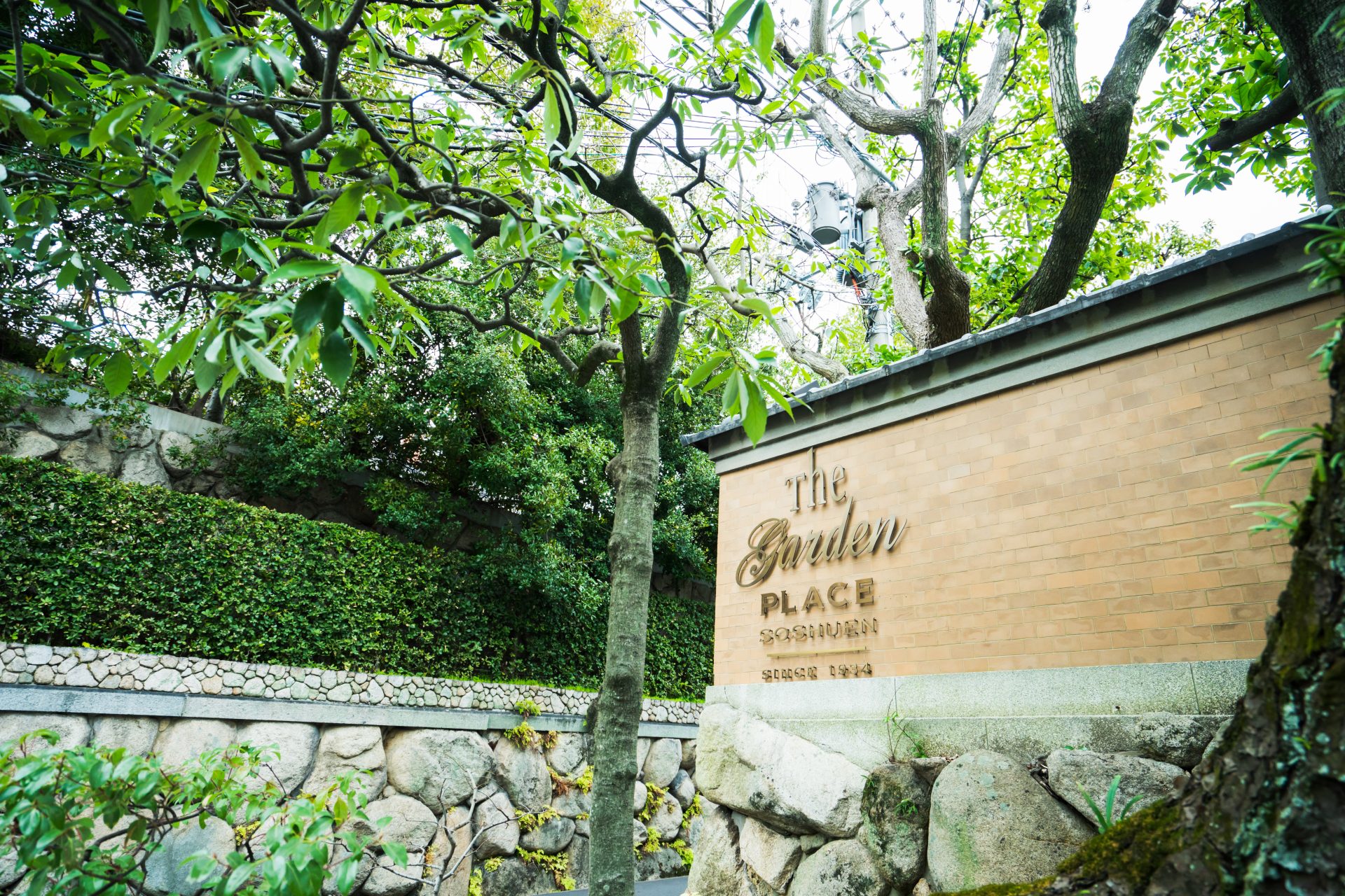 トリート神戸店と提携している蘇州園でお式を挙げられた新郎新婦様のご紹介