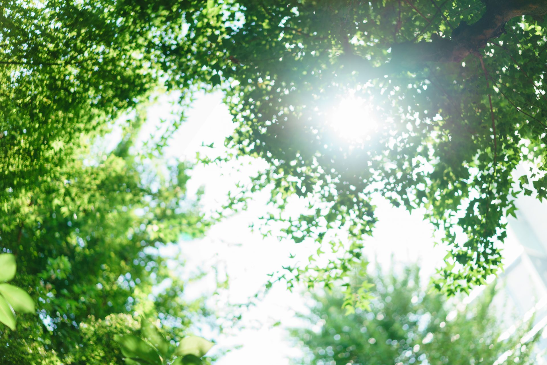 ザトリートドレッシングの提携会場ザカワブンナゴヤでお式をされた花嫁様の家族式