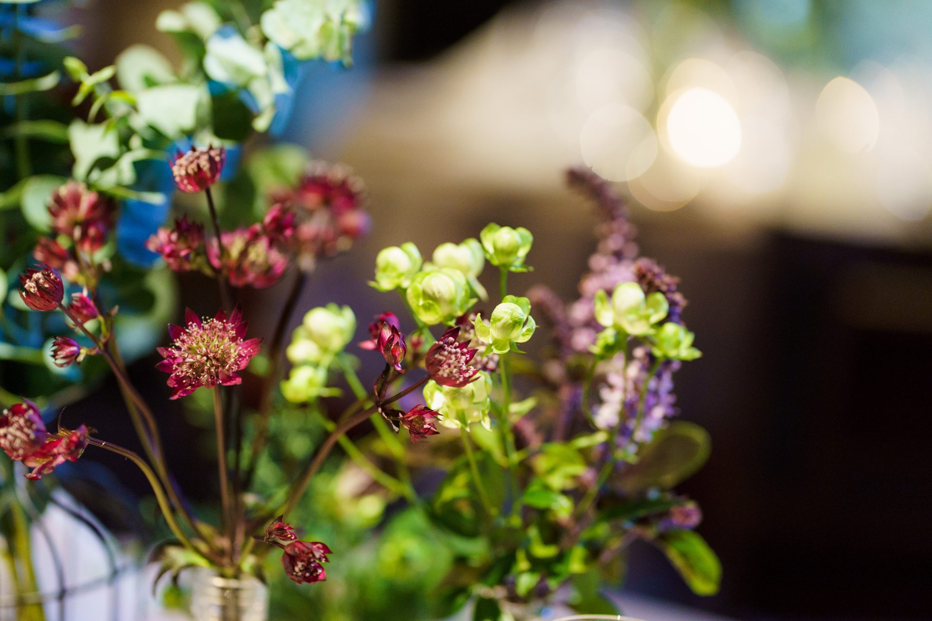 藤屋御本陳らしい紫の差し色が映えるナチュラルな装飾