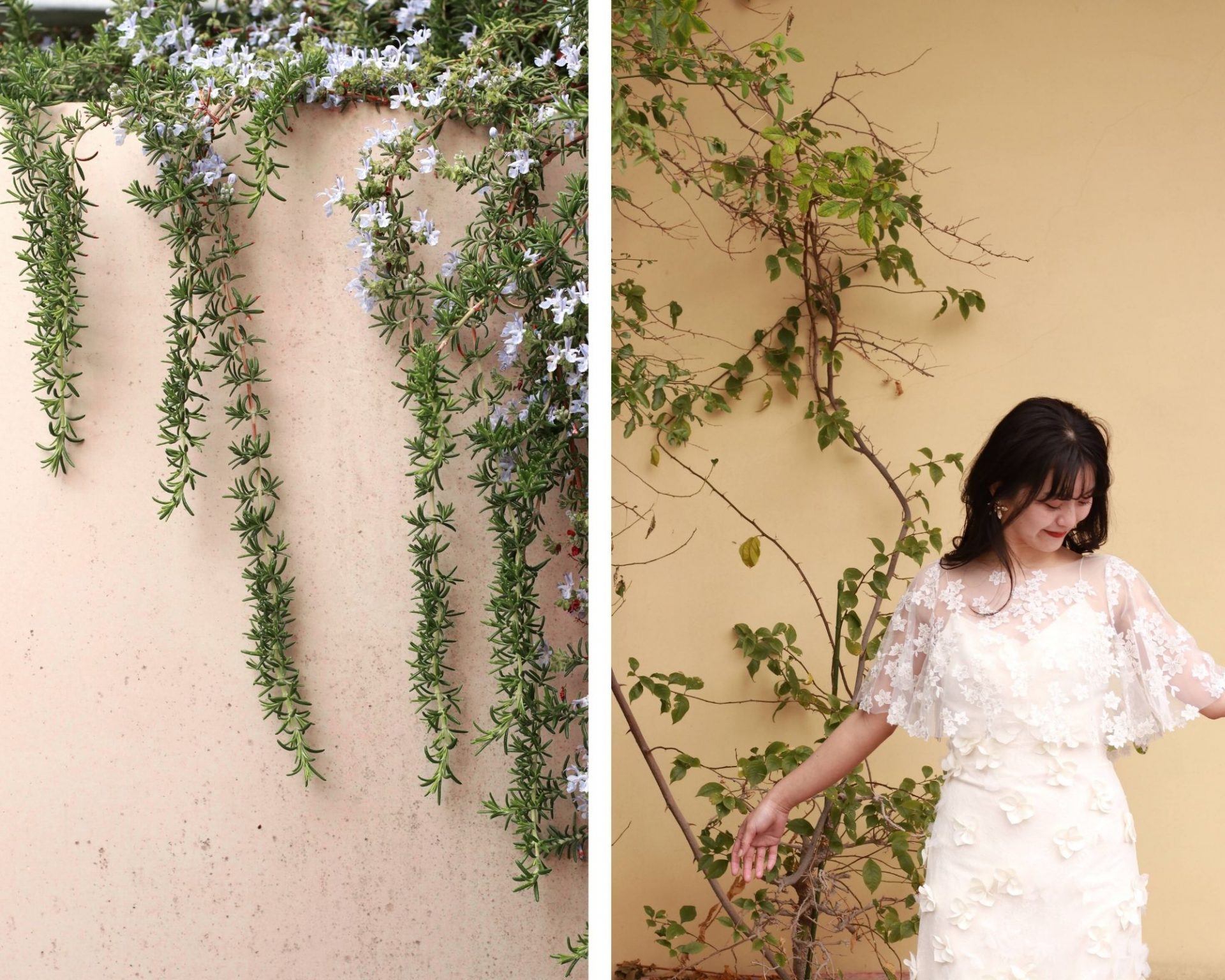 東京表参道のドレスショップ、ザトリートドレッシングが春のコーディネートに提案する、レースのウェディングドレスにケープのようなボレロを組み合わせたコーディネート。