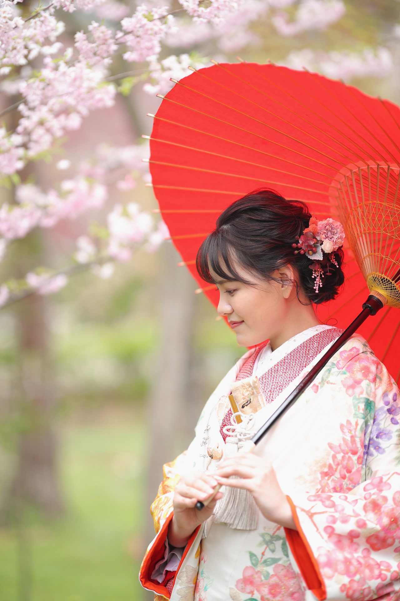 番傘を持って上品な女性らしさの演出できる色打掛です