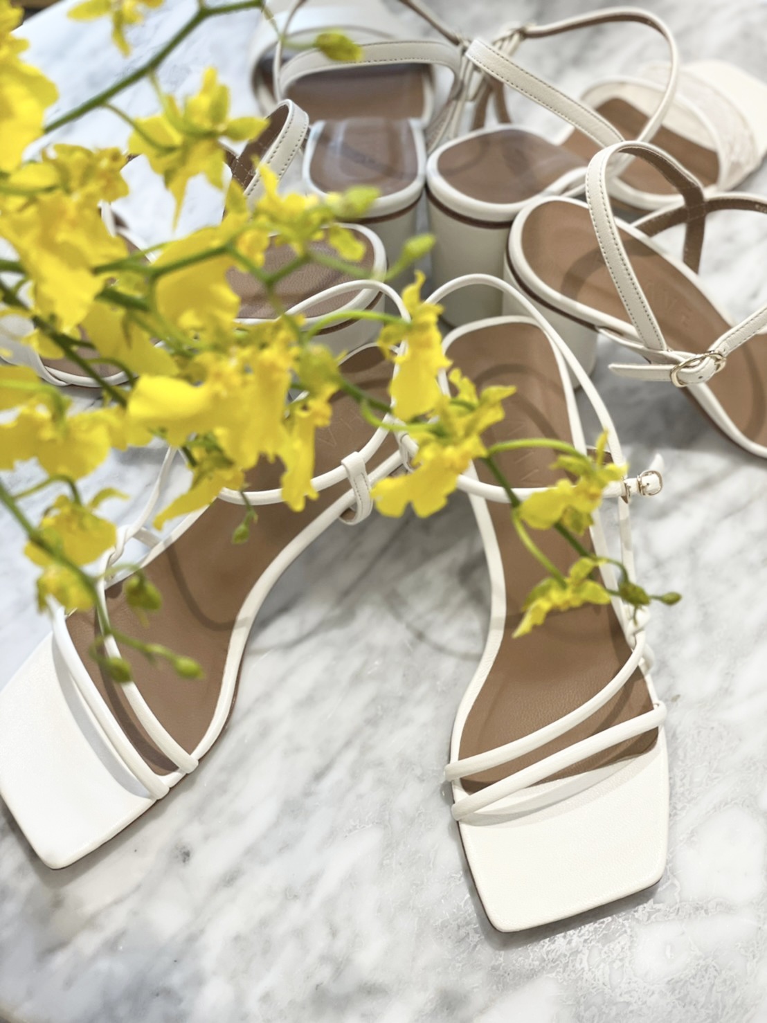 フォトウェディングに人気のトリートドレッシングで取り扱いをしているハーヴェの新作ウェディングシューズ