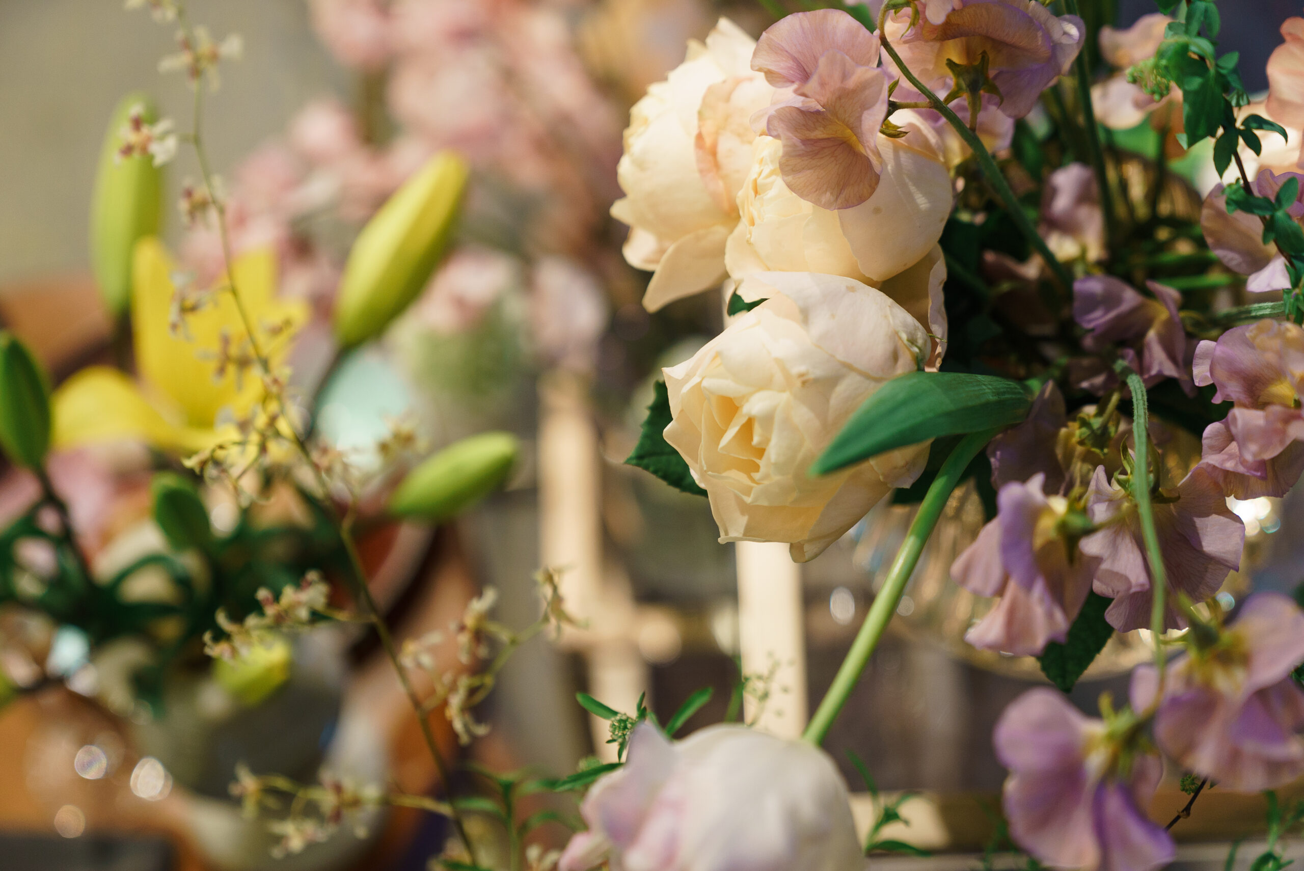 ザトリートドレッシングな名古屋店の提携しているザカワブンナゴヤでのパーティーレポート