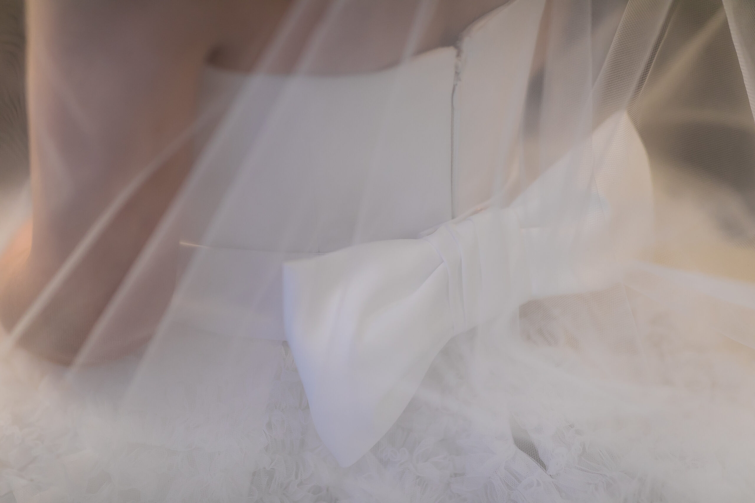 トリートドレッシングのインポートドレス 後ろにリボンモチーフのついているバックコンシャスなプリンセスラインのウェデインググドレス