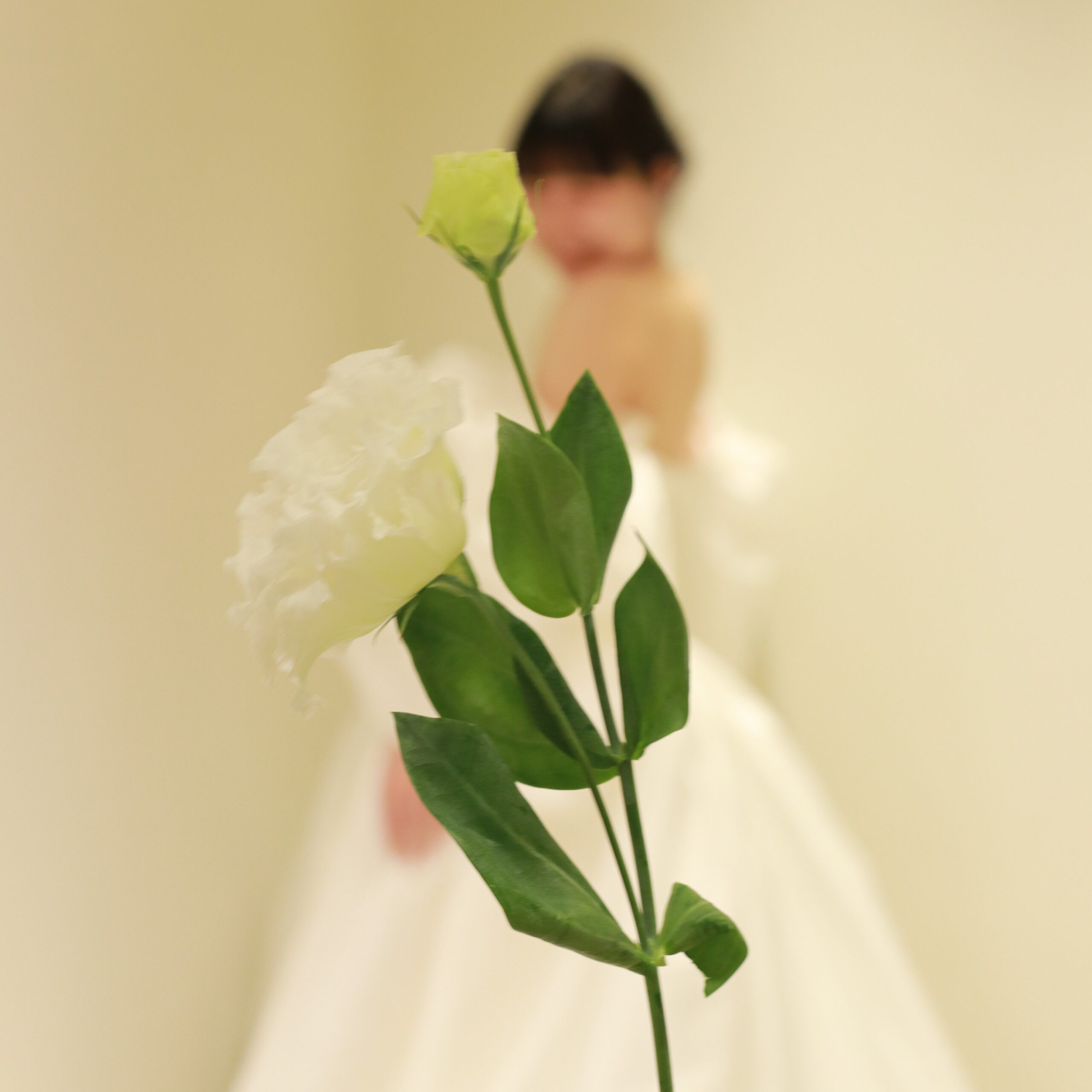 ザトリートドレッシングアディション店に新作で入荷したアムサーラのパフスリーブがお洒落なウェディングドレス