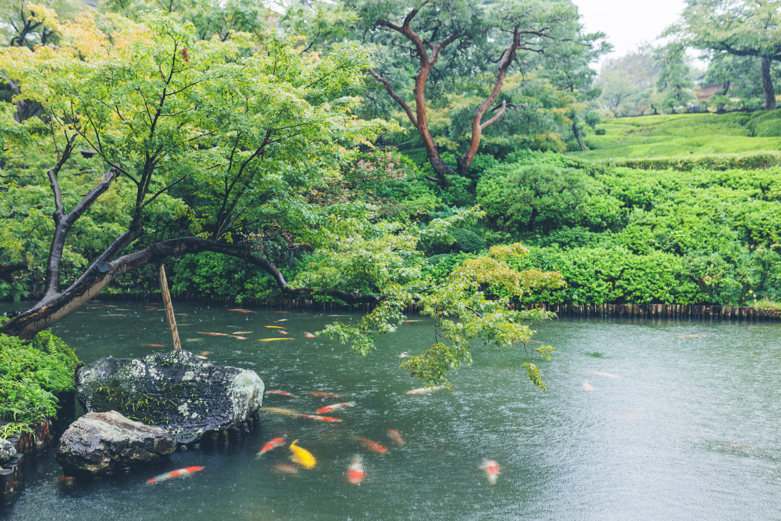 はち花におすすめしたいザトリートドレッシングの提携会場八芳園で結婚式を挙げられたお洒落なお二人のウェディングのご紹介