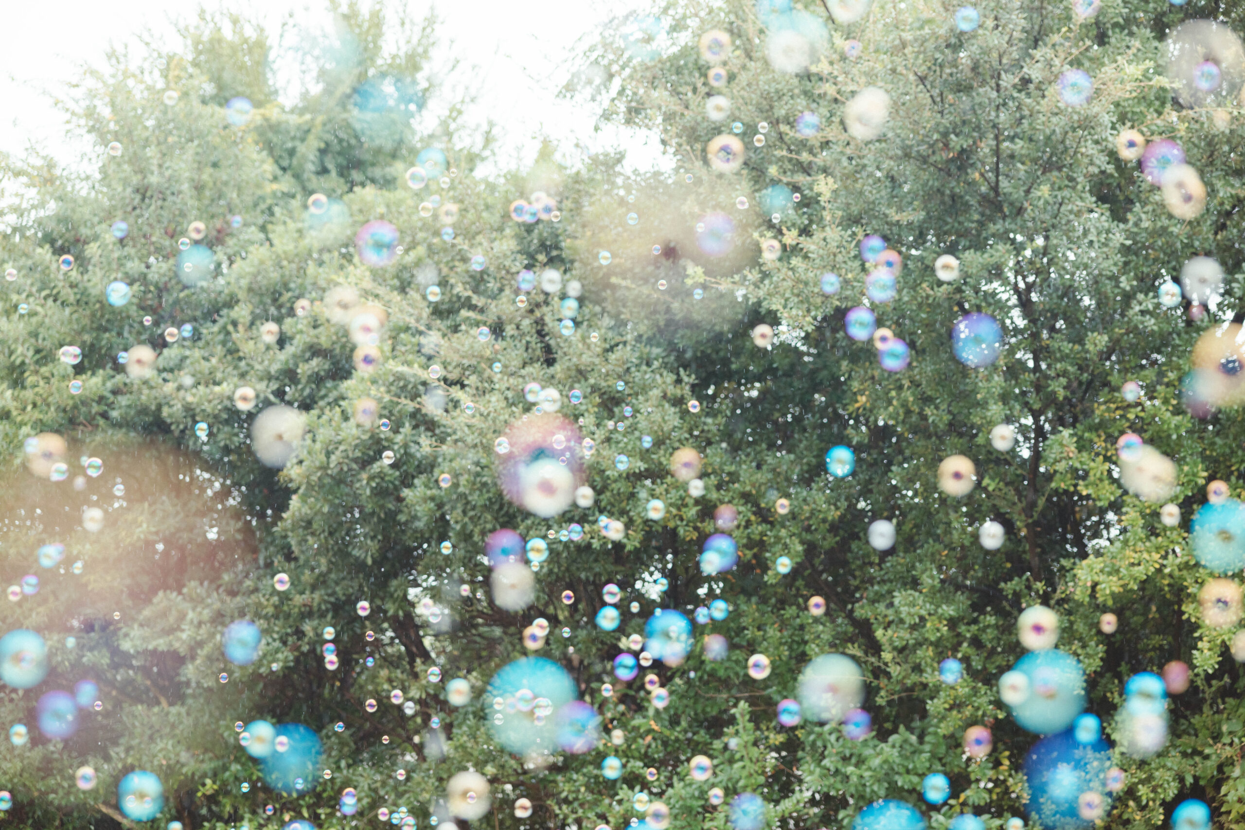 大阪にあるまるで森の中にいるかのような緑と自然が溢れる結婚式会場ササにてナチュラルな結婚式を