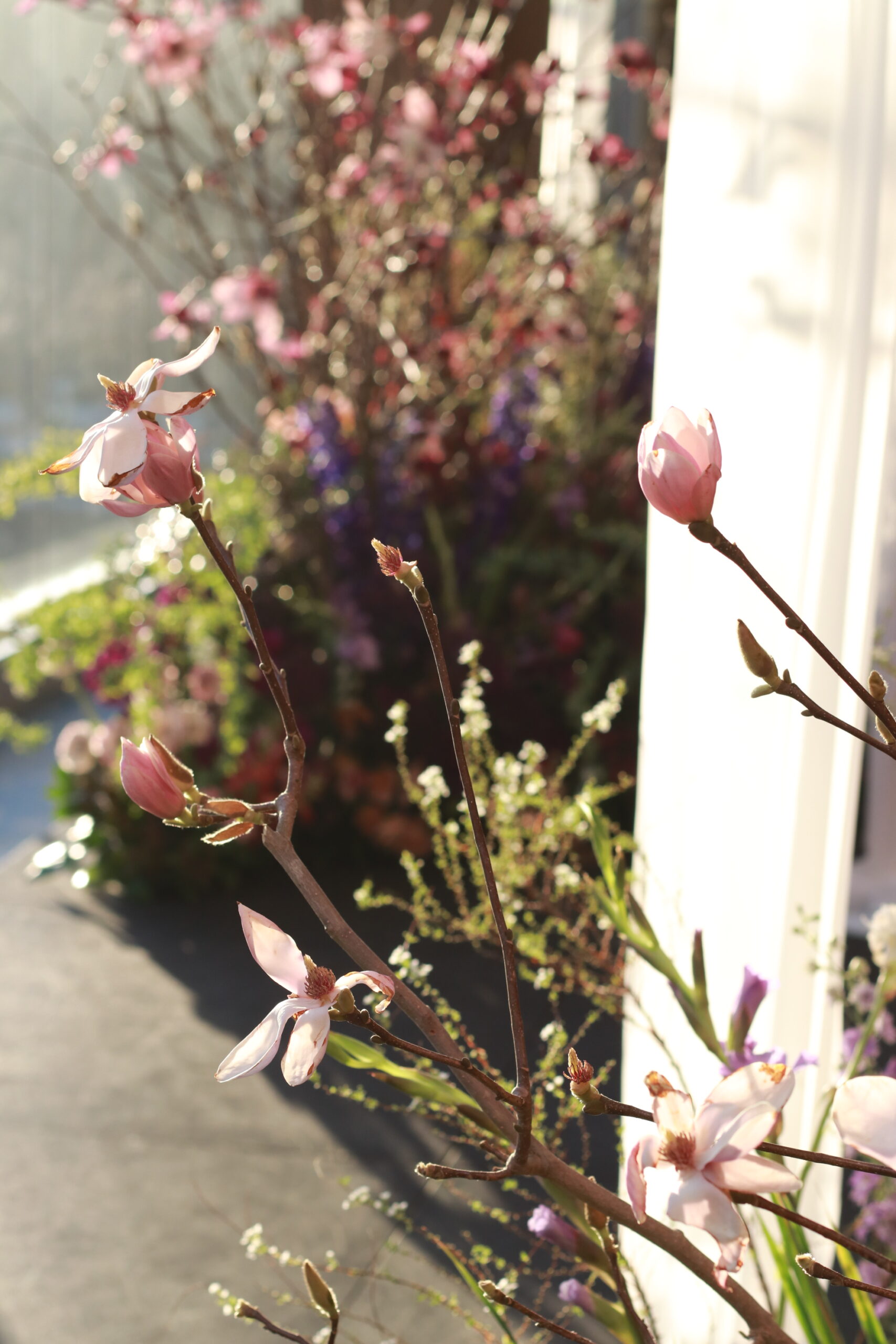 パレスホテル東京にて開催されたスペシャルドレスショーにてザトリートドレッシングがお披露目させていただいたウェディングドレスとカラードレスをご紹介いたします。パレスホテル東京の魅力とともにお届けいたします。